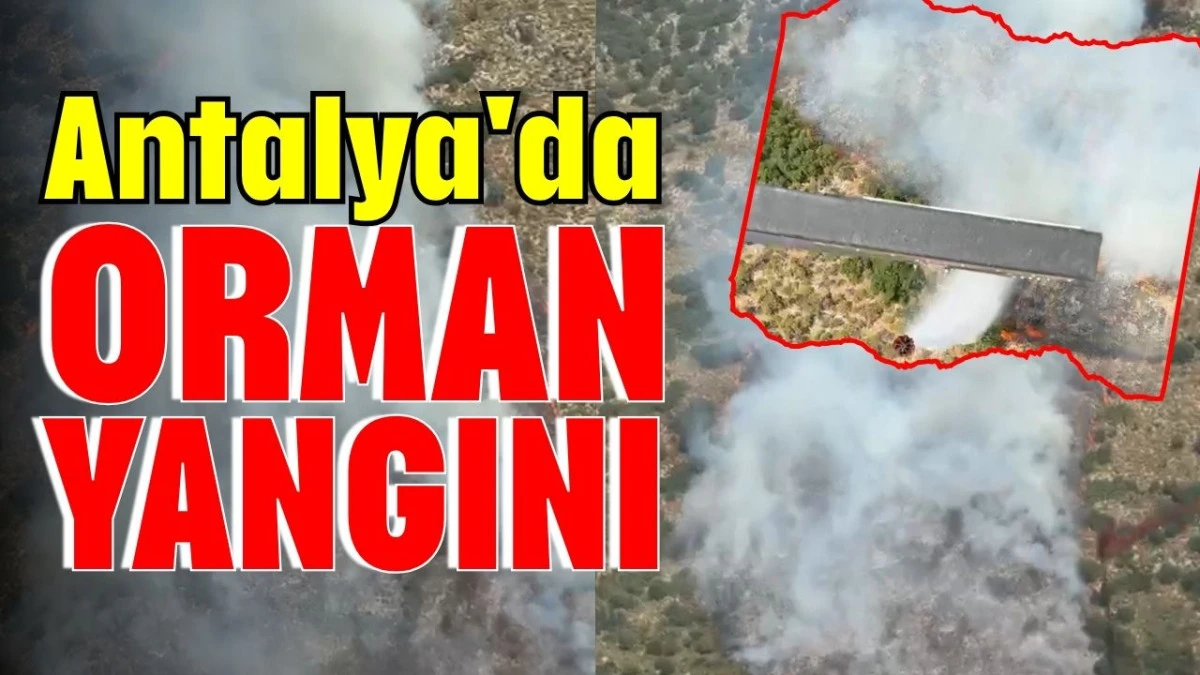 Antalya'da orman yangını