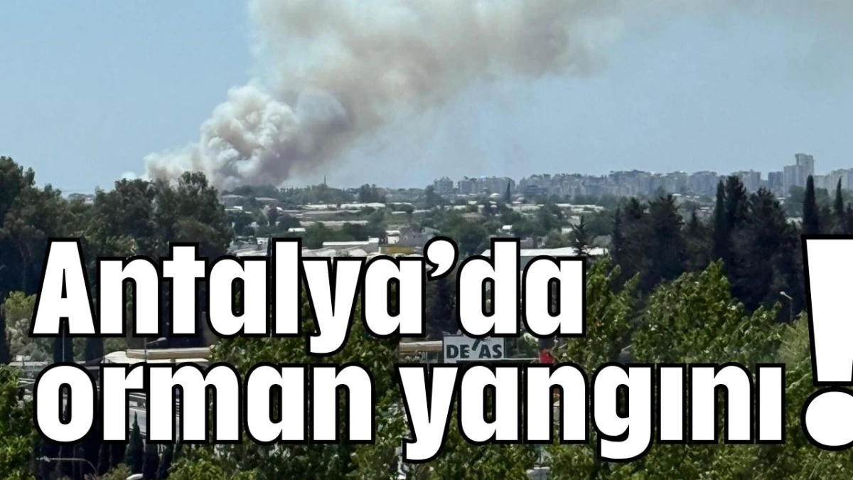 Antalya’da orman yangını!  