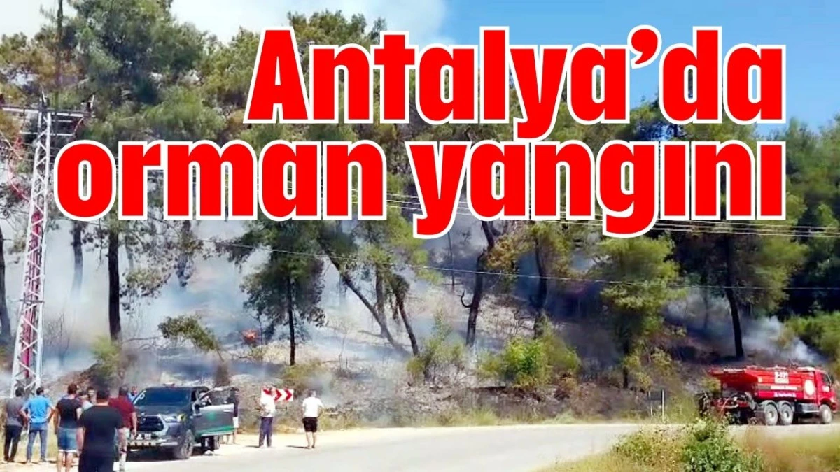 Antalya'da orman yangını 