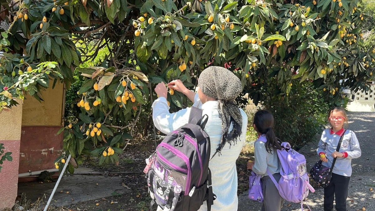 Antalya'da para etmeyince sosyal medyadan &ccedil;ağrı yaptı, bedava dağıttı