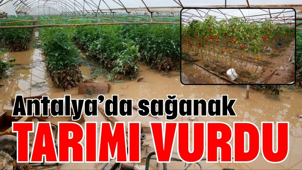 Antalya&rsquo;da sağanak tarımı vurdu
