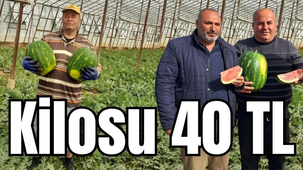 Antalya&rsquo;da sezonun ilk karpuzunun kilosu 40 TL