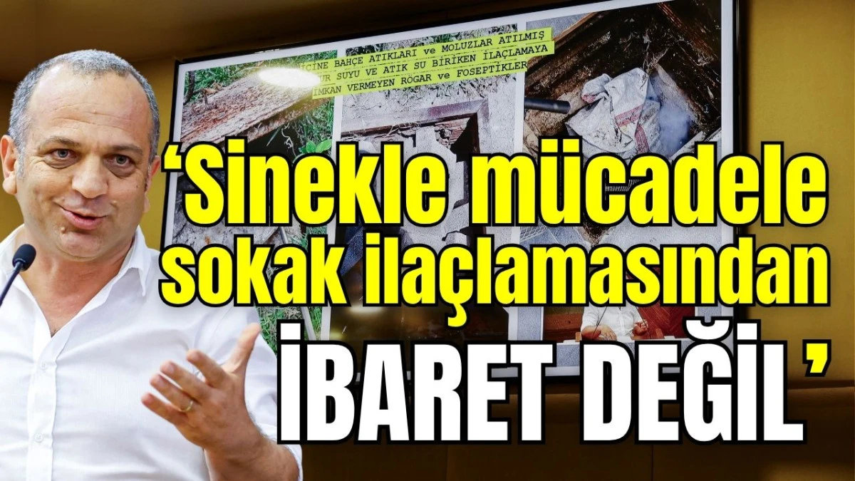 Antalya'da &lsquo;Sinekle m&uuml;cadele sokak ila&ccedil;lamasından ibaret değil&rsquo;