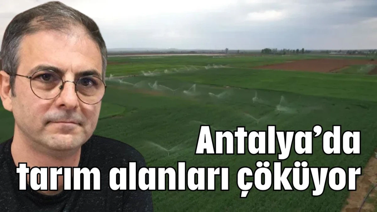 Antalya’da tarım alanları çöküyor   