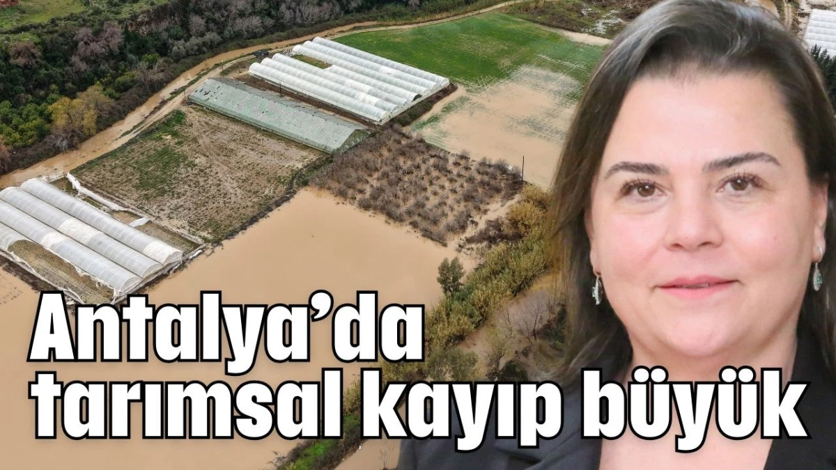 Antalya&rsquo;da tarımsal kayıp b&uuml;y&uuml;k