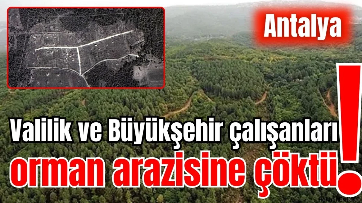 Antalya'da Valilik ve B&uuml;y&uuml;kşehir &ccedil;alışanları orman arazisine &ccedil;&ouml;kt&uuml;!