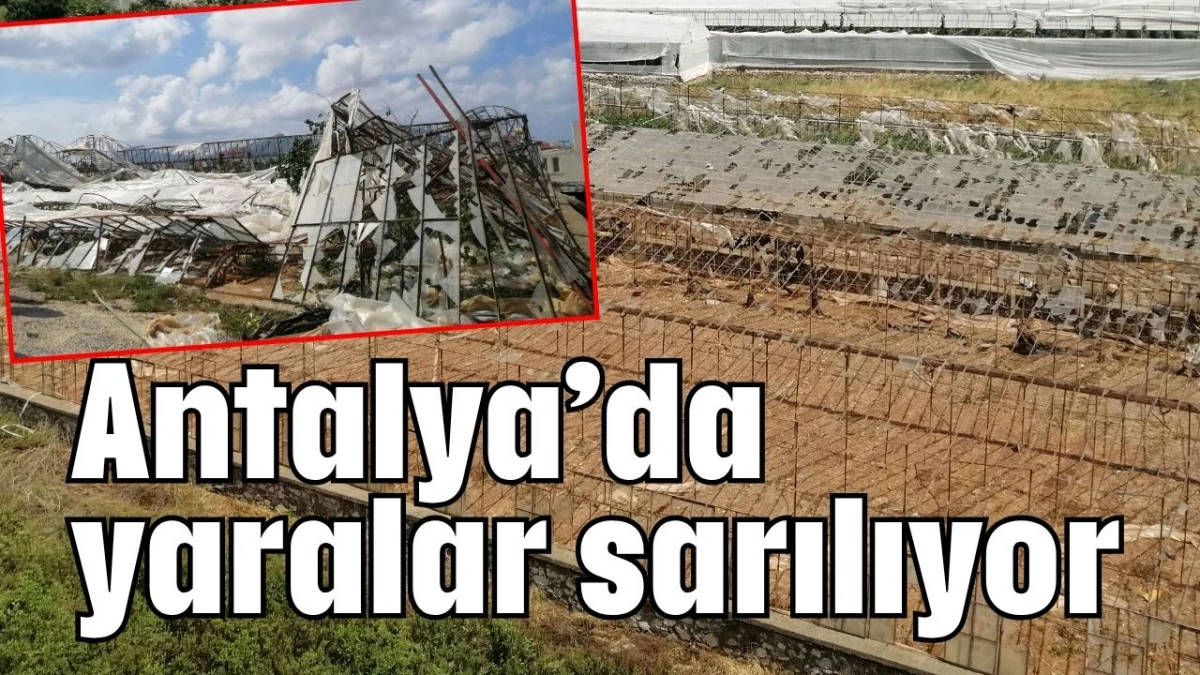 Antalya’da yaralar sarılıyor  