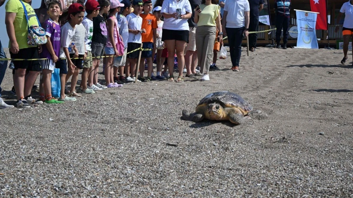 Antalya'da yaralı bulunan deniz kaplumbağası tedavi sonrası Akdeniz'le buluştu   