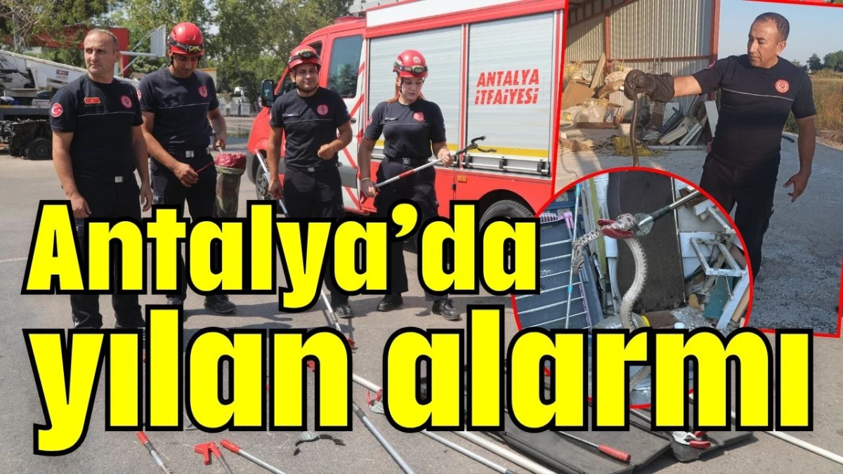 Antalya&rsquo;da yılan alarmı