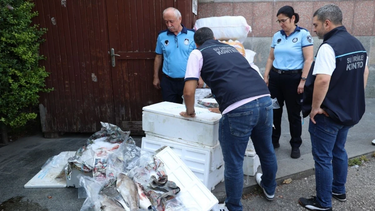 Antalya'da zabıta yasak d&ouml;neminde avlanan 260 kilo balığa el koydu
