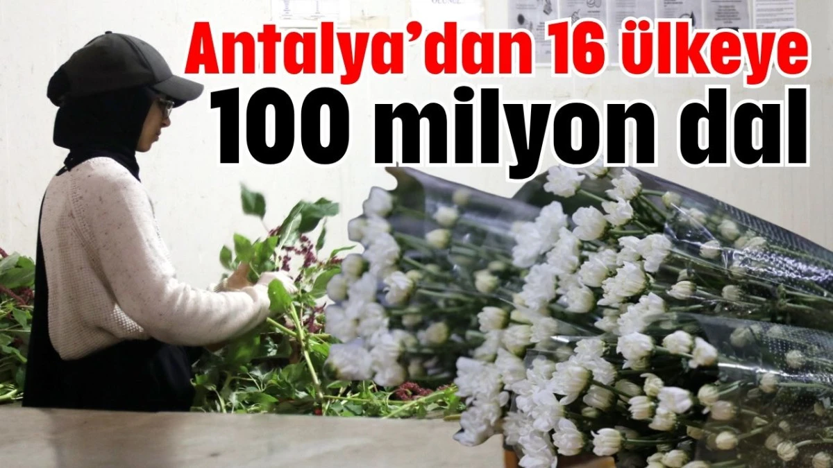 Antalya&rsquo;dan 16 &uuml;lkeye 100 milyon dal
