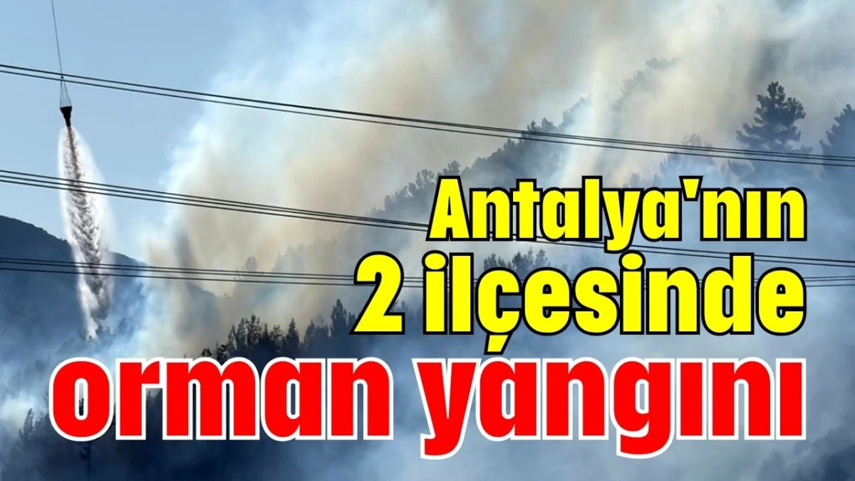 Antalya'nın 2 ilçesinde orman yangını   