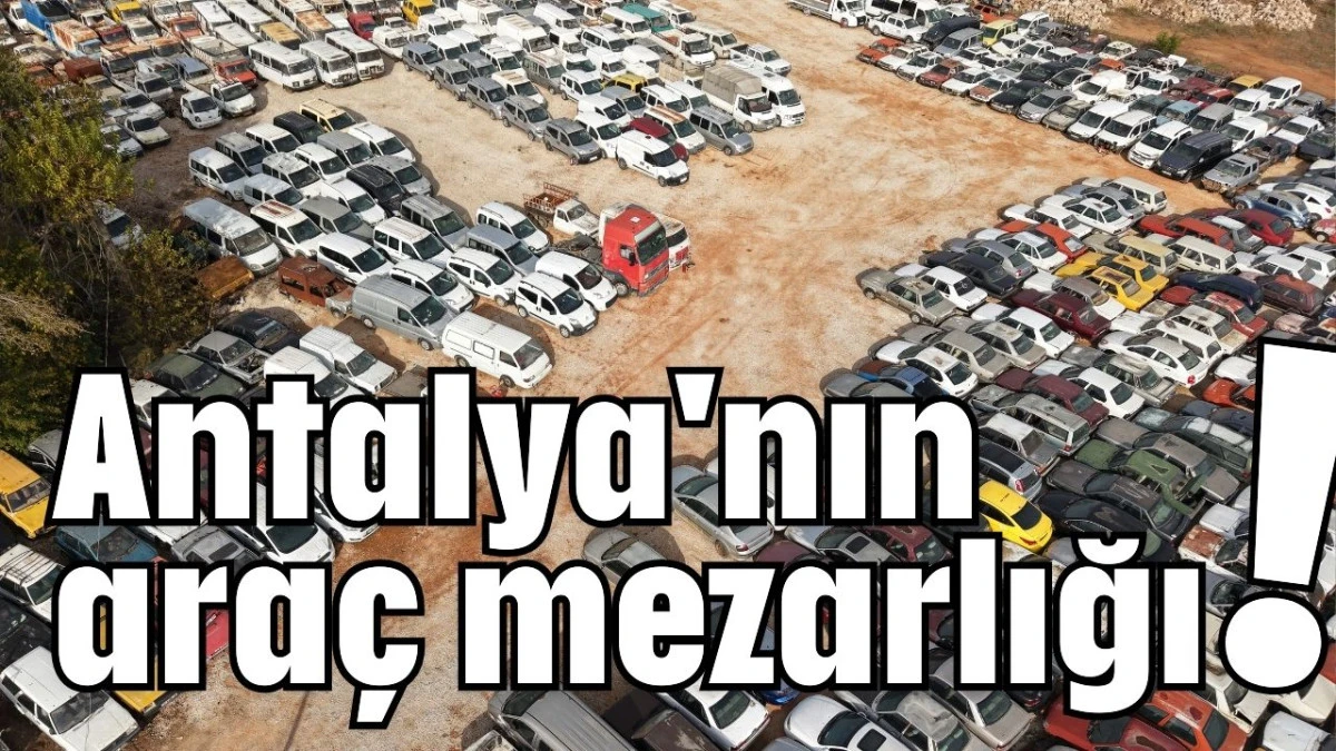 Antalya'nın araç mezarlığı!