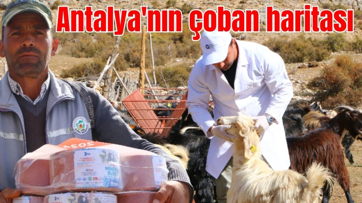 Antalya'nın &ccedil;oban haritası 