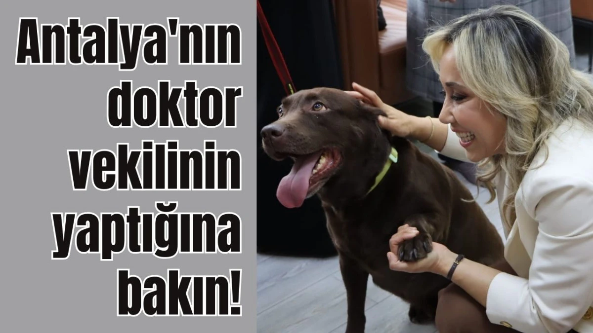 Antalya'nın doktor vekilinin yaptığına bakın!