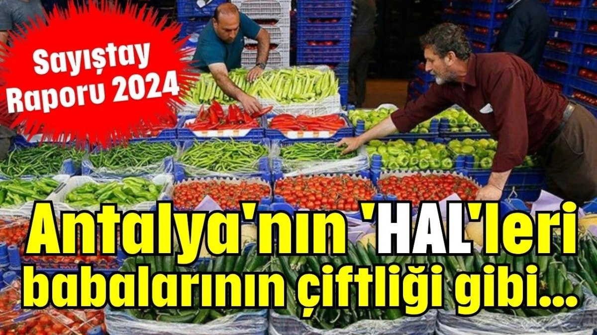 Antalya'nın 'HAL'leri babalarının çiftliği gibi...