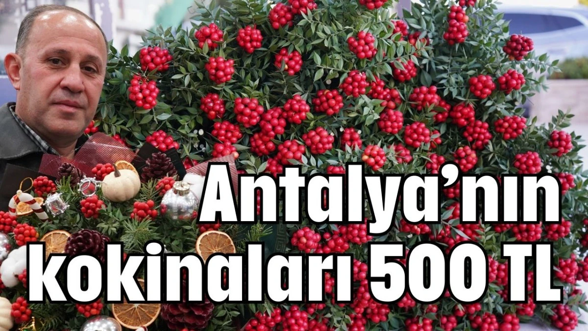 Antalya&rsquo;nın kokinaları 500 TL