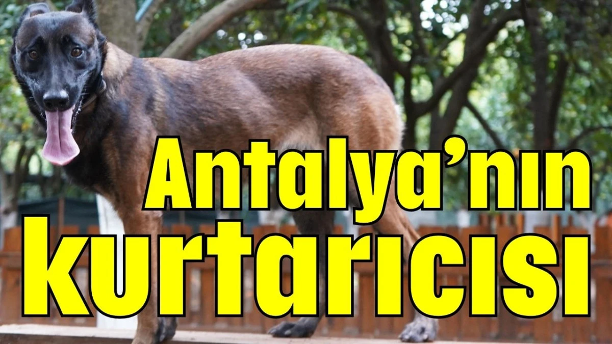 Antalya’nın kurtarıcısı   