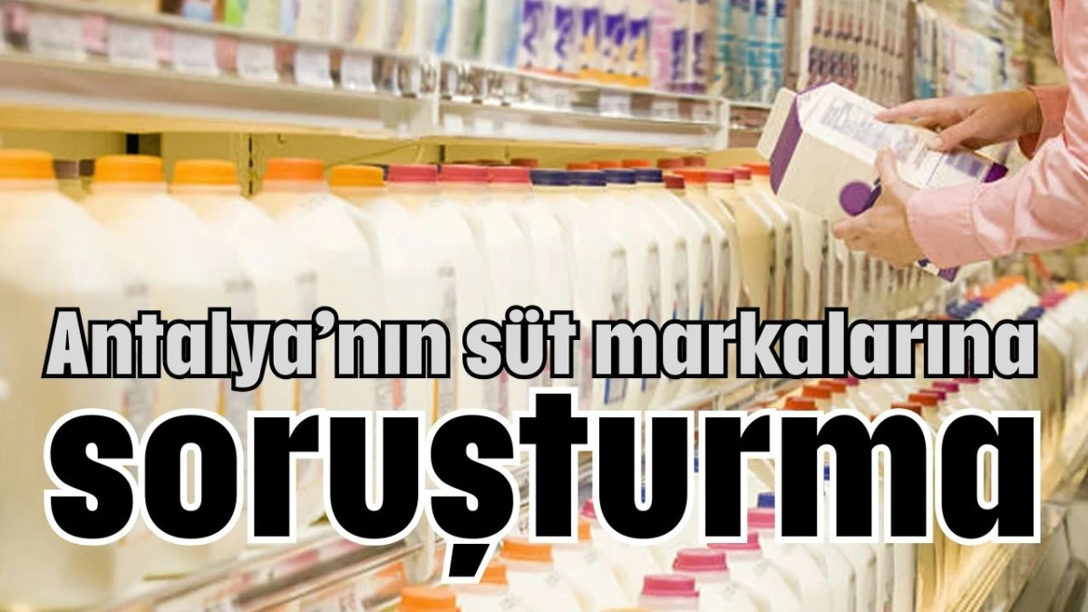Antalya’nın süt markalarına soruşturma   