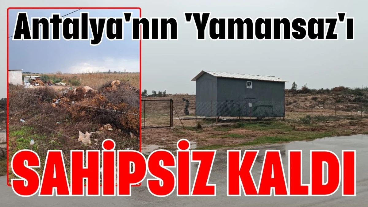 Antalya'nın 'Yamansaz'ı sahipsiz kaldı 