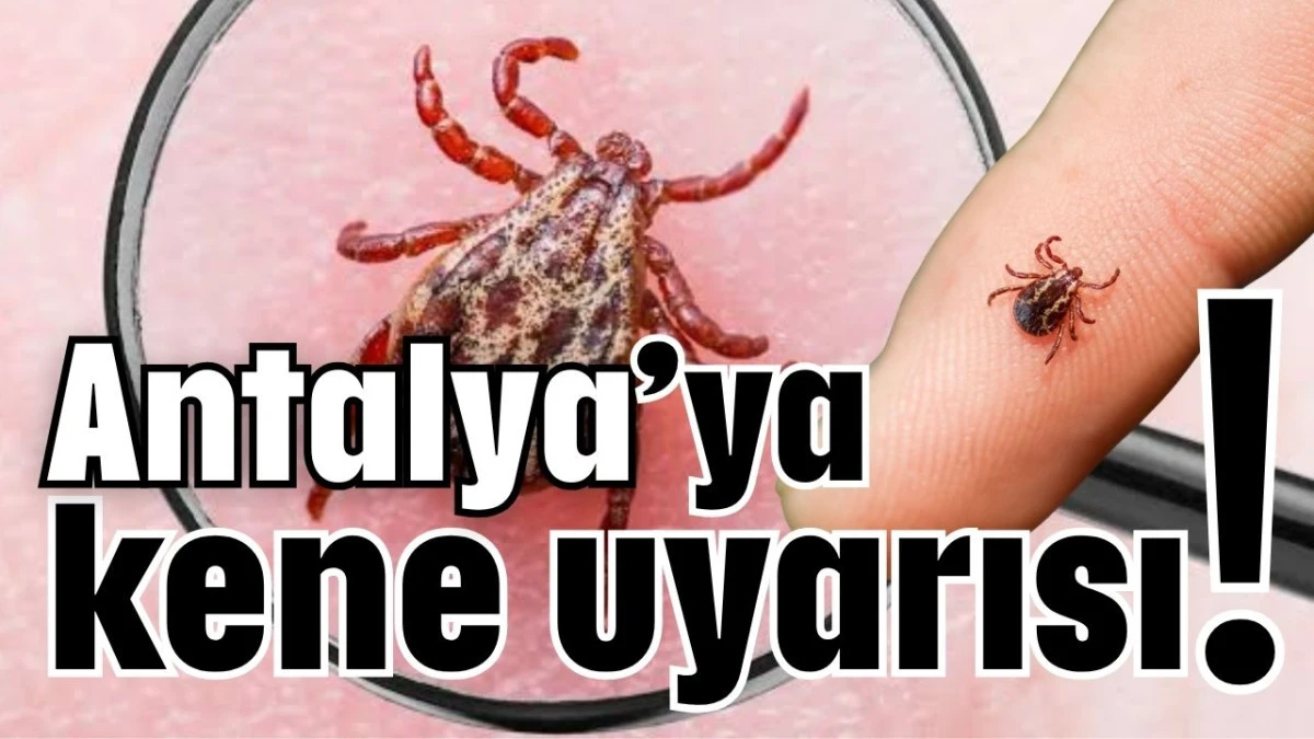 Antalya&rsquo;ya kene uyarısı!