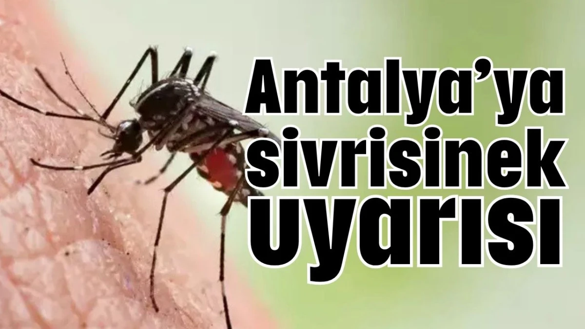Antalya&rsquo;ya sivrisinek uyarısı 