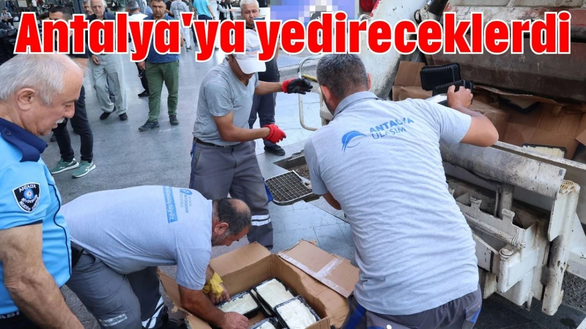 Antalya'ya yedireceklerdi 