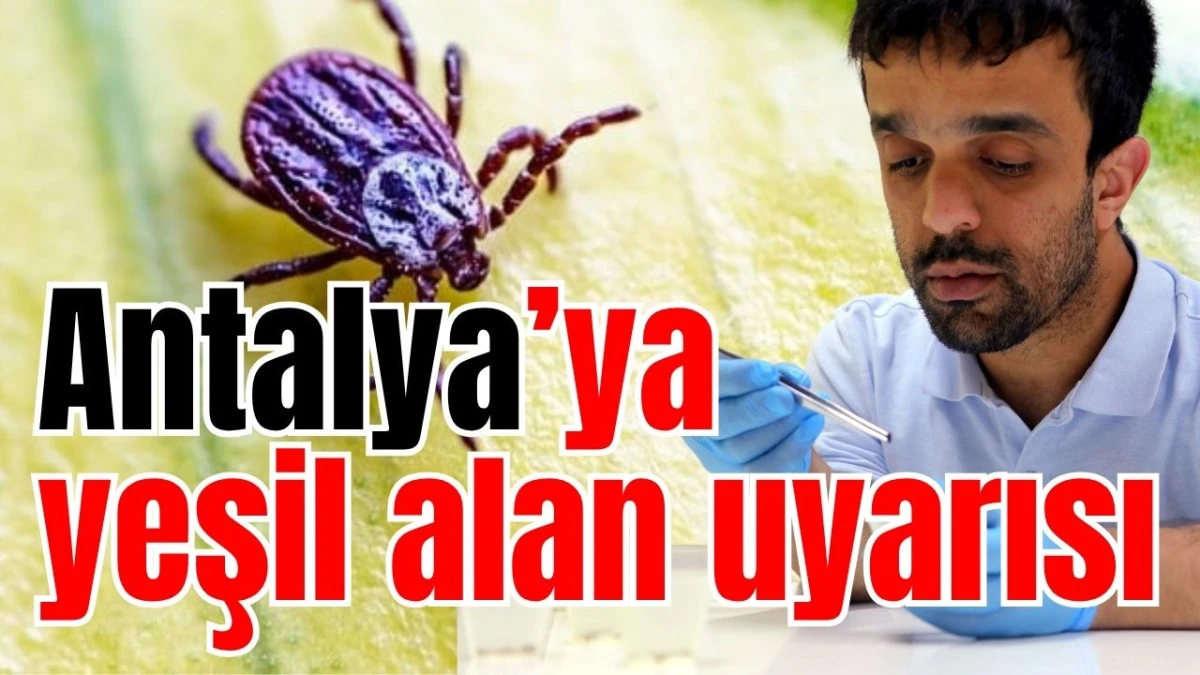 Antalya&rsquo;ya yeşil alan uyarısı