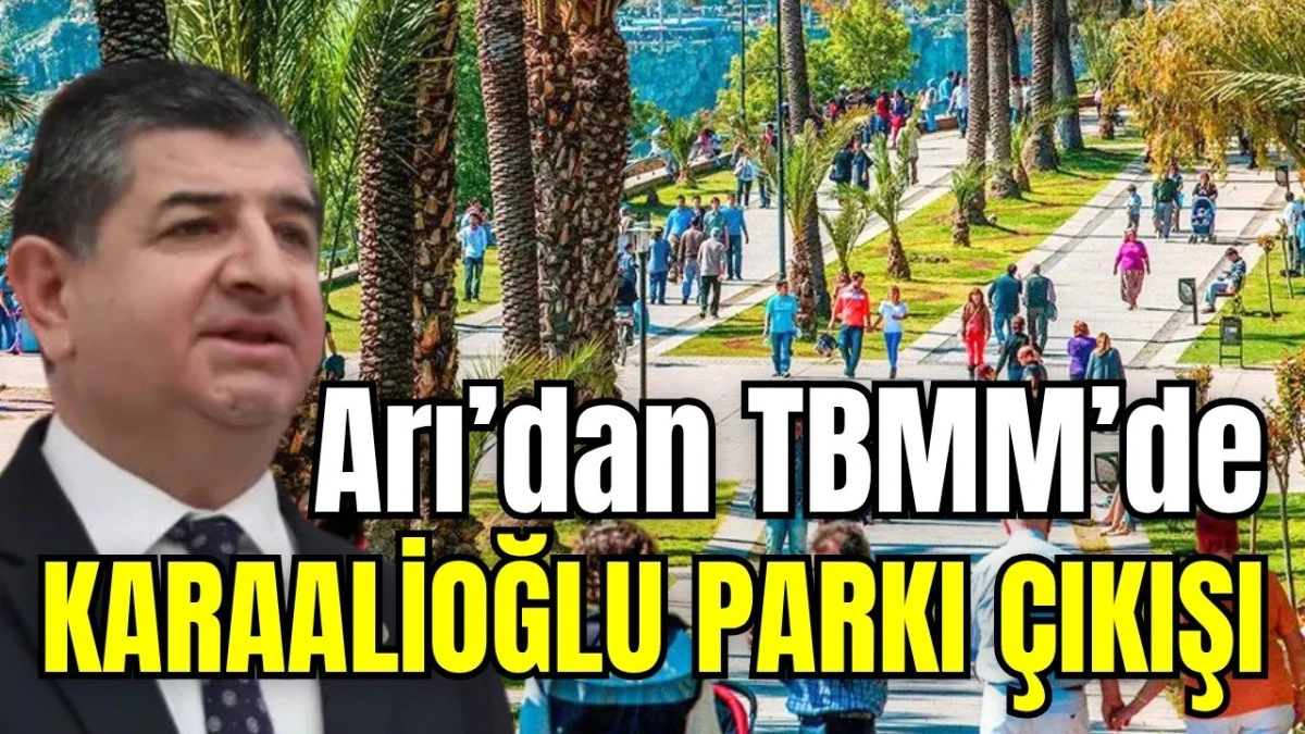 Arı&rsquo;dan TBMM&rsquo;de Karaalioğlu Parkı &ccedil;ıkışı 