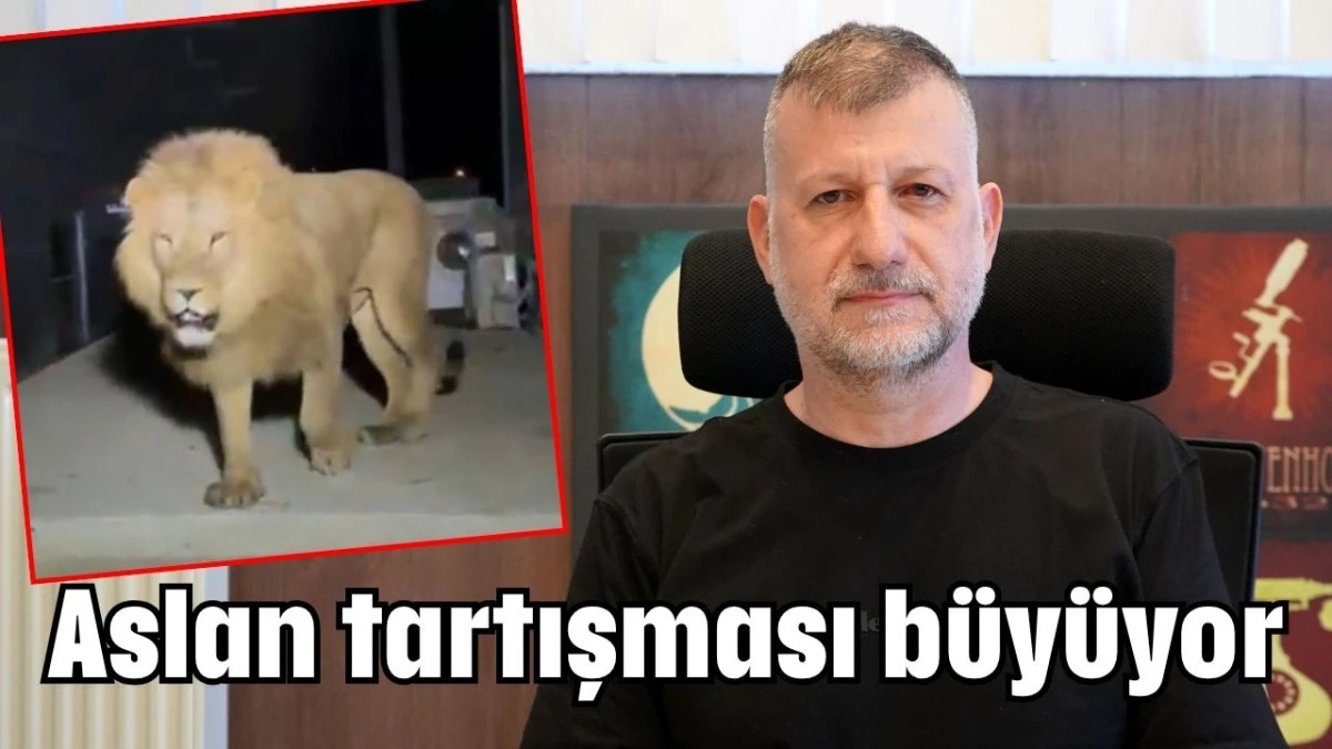 Aslan tartışması büyüyor      