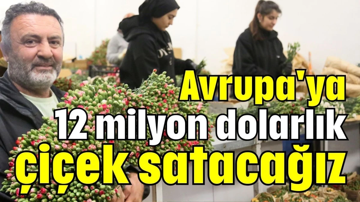 Avrupa'ya 12 milyon dolarlık çiçek satacağız  