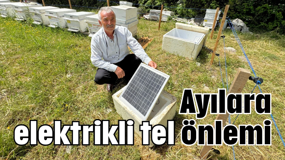 Ayılara elektrikli tel önlemi  