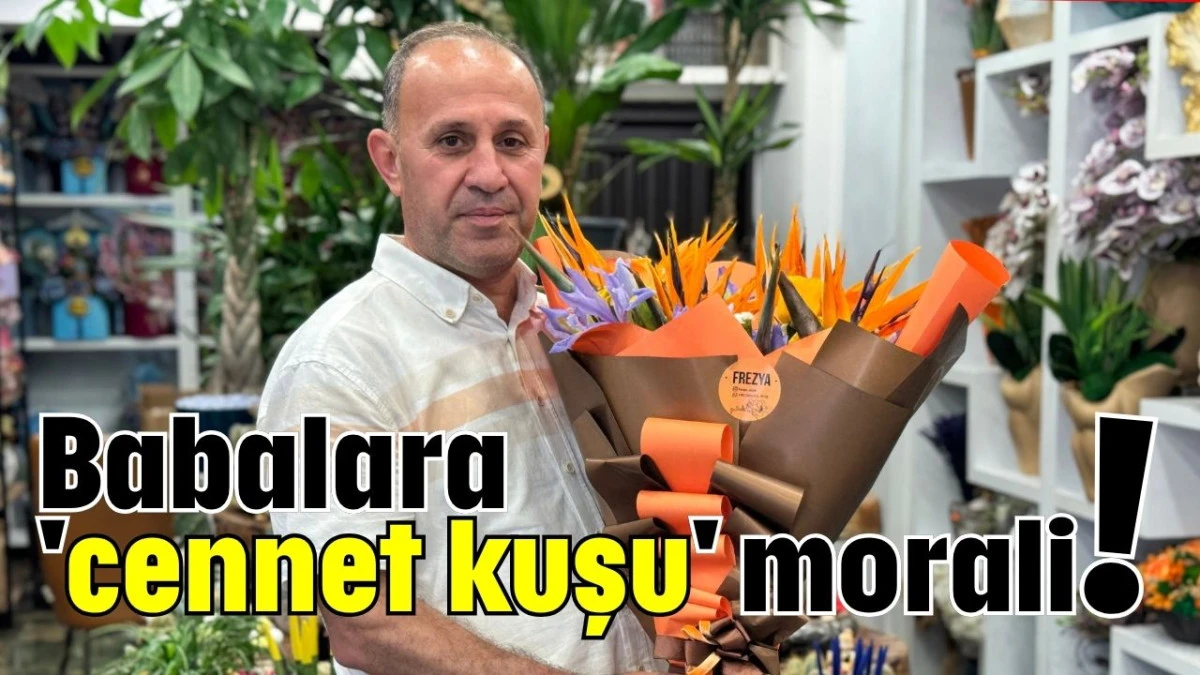 Babalara 'cennet kuşu' morali!  