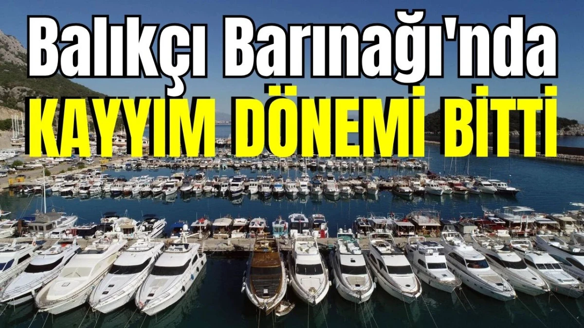 Balık&ccedil;ı Barınağı'nda kayyım d&ouml;nemi bitti 