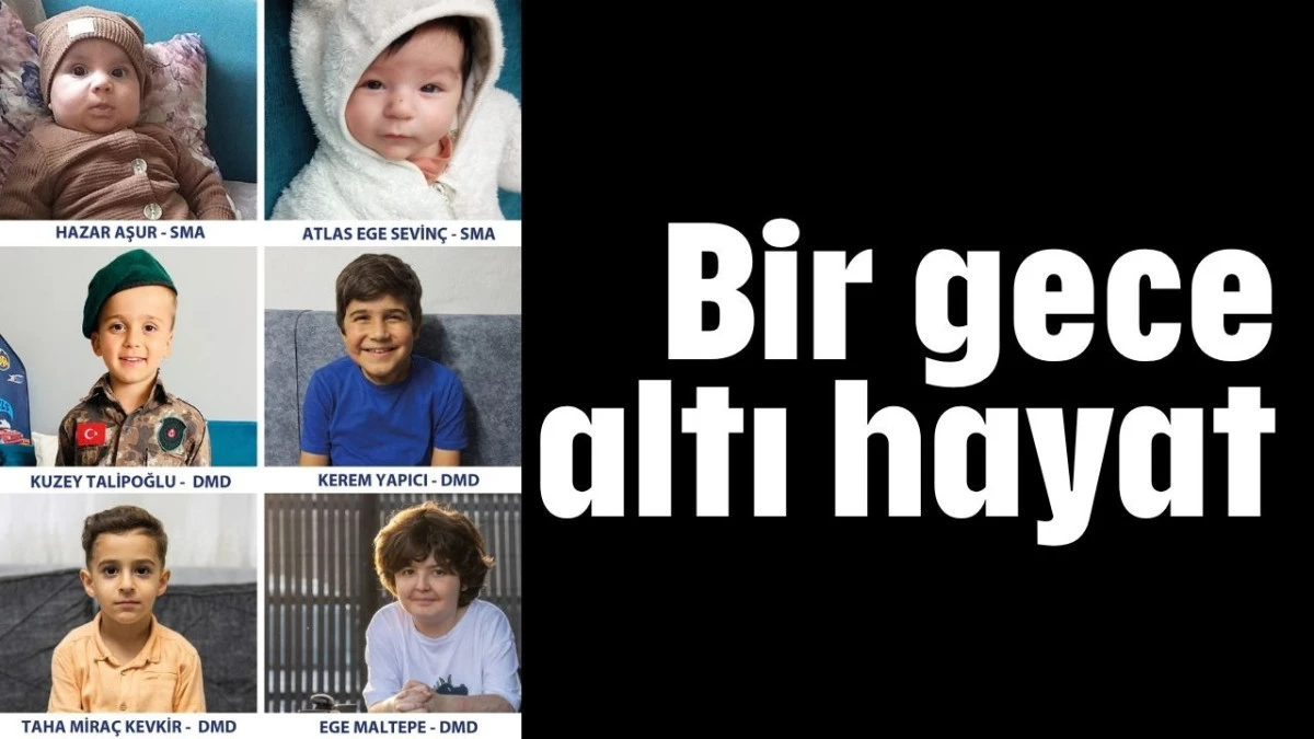 Bir gece altı hayat   