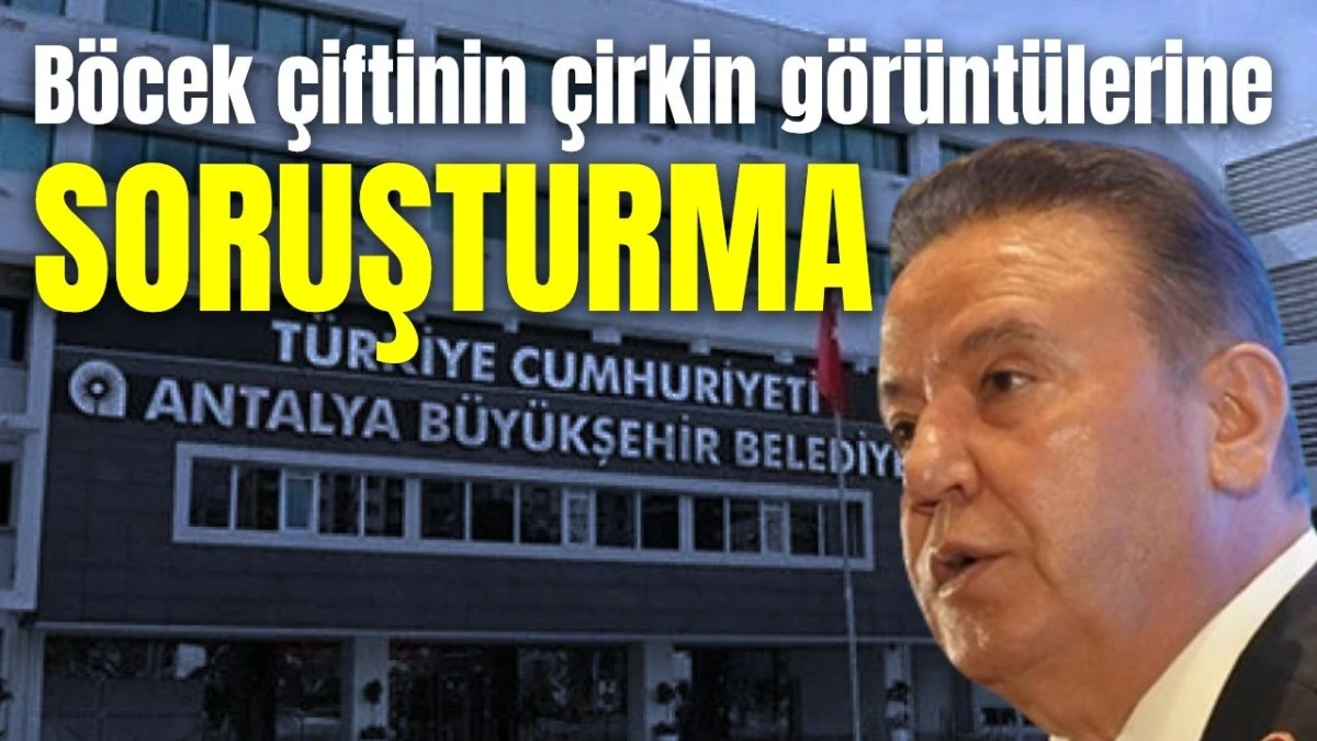 B&ouml;cek &ccedil;iftinin &ccedil;irkin g&ouml;r&uuml;nt&uuml;lerine soruşturma