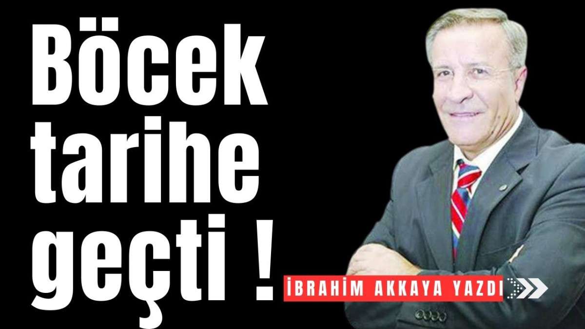 Böcek tarihe geçti !