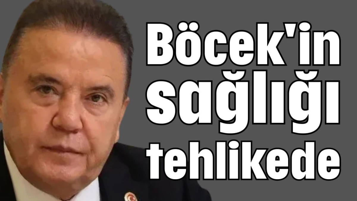 Böcek'in sağlığı tehlikede 