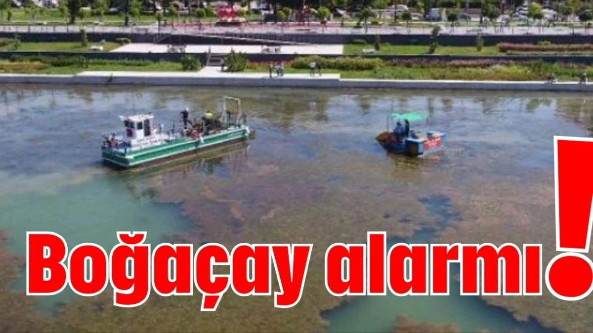 Boğaçay alarmı!  