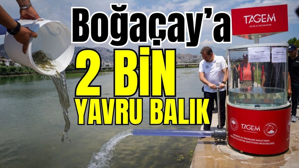 Boğa&ccedil;ay&rsquo;a 2 bin yavru balık