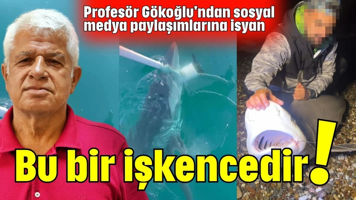 Bu bir işkencedir!  