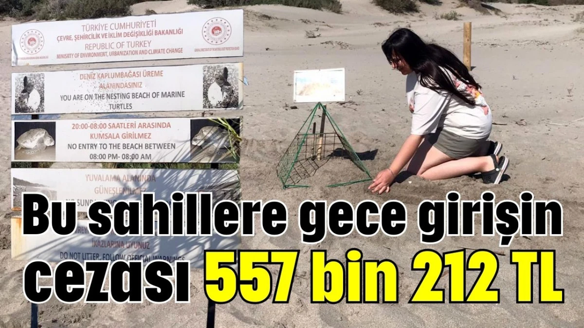 Bu sahillere gece girişin cezası 557 bin 212 TL   