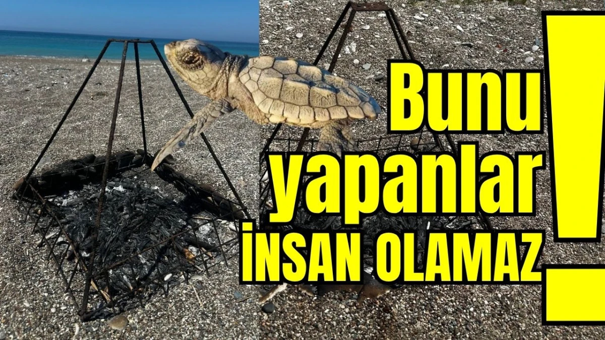 Bunu yapanlar insan olamaz!