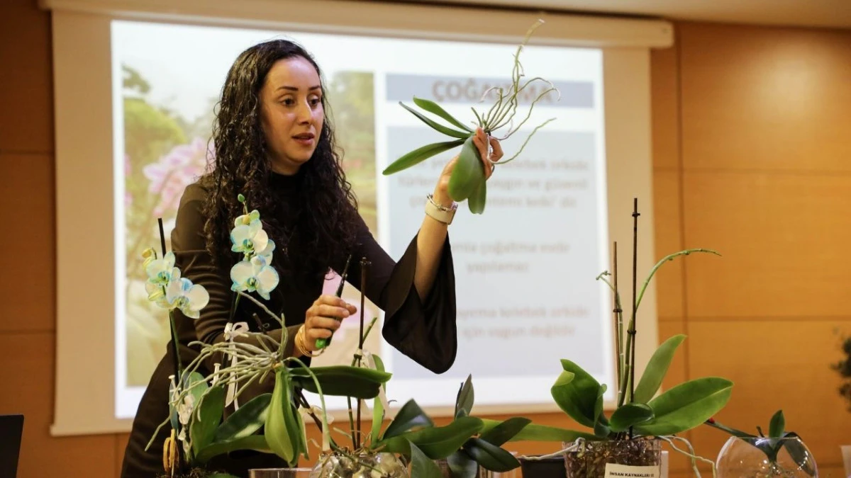 B&uuml;y&uuml;kşehir&rsquo;den orkide bakım eğitimi