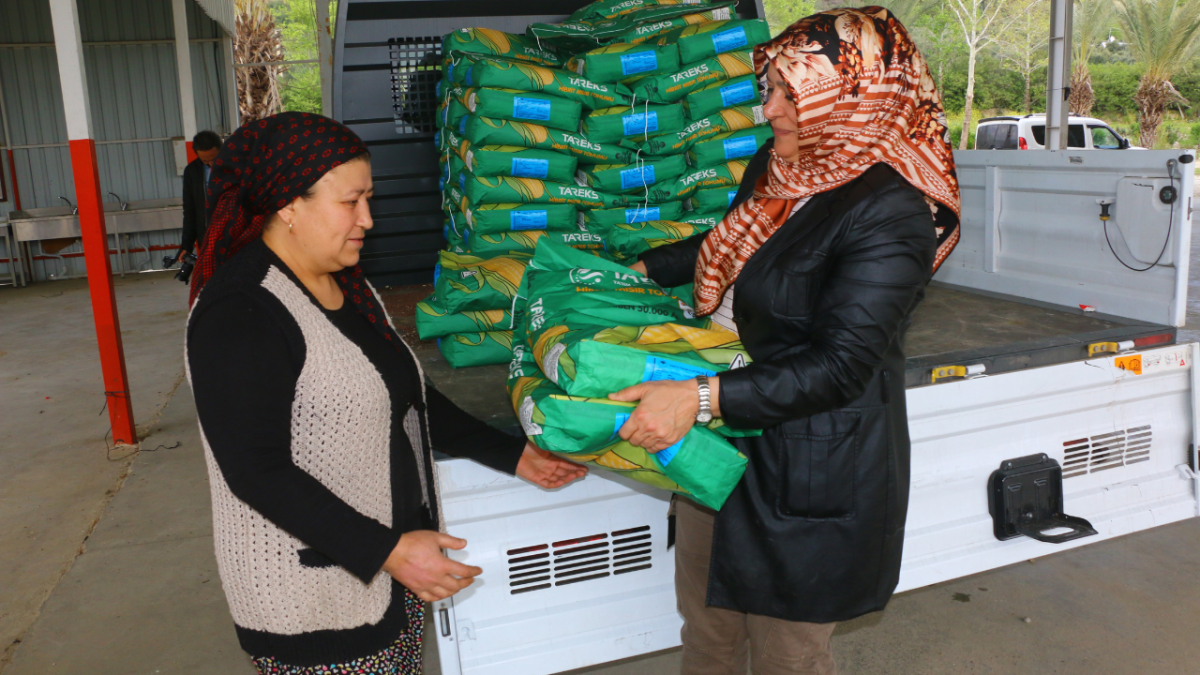 Büyükşehir'den üreticiye mısır tohumu desteği