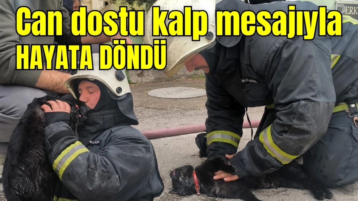 Can dostu kalp mesajıyla hayata d&ouml;nd&uuml;