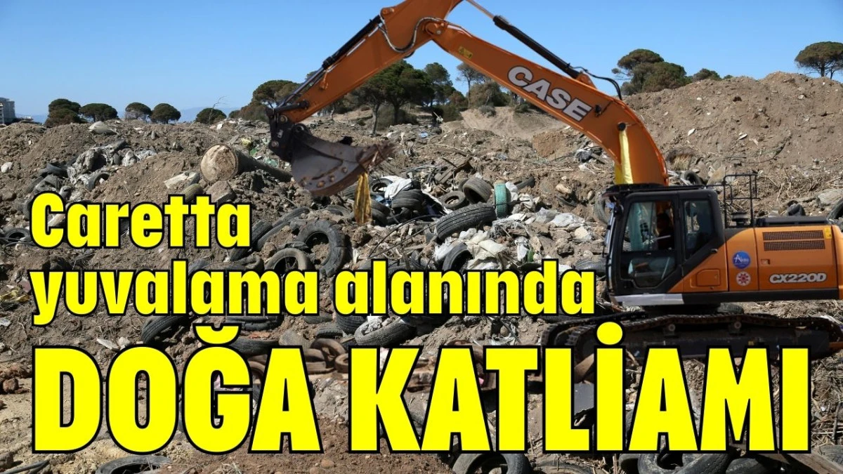 Caretta yuvalama alanında doğa katliamı 