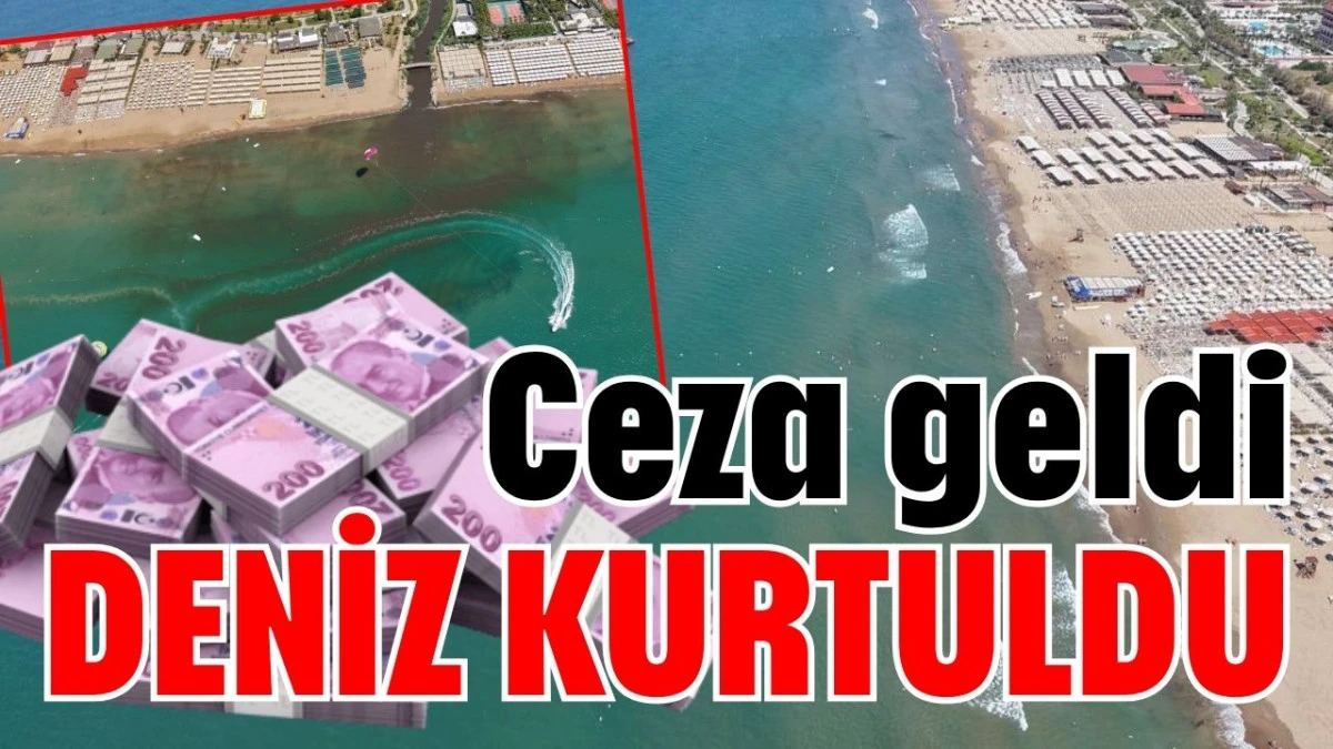 Ceza geldi deniz kurtuldu