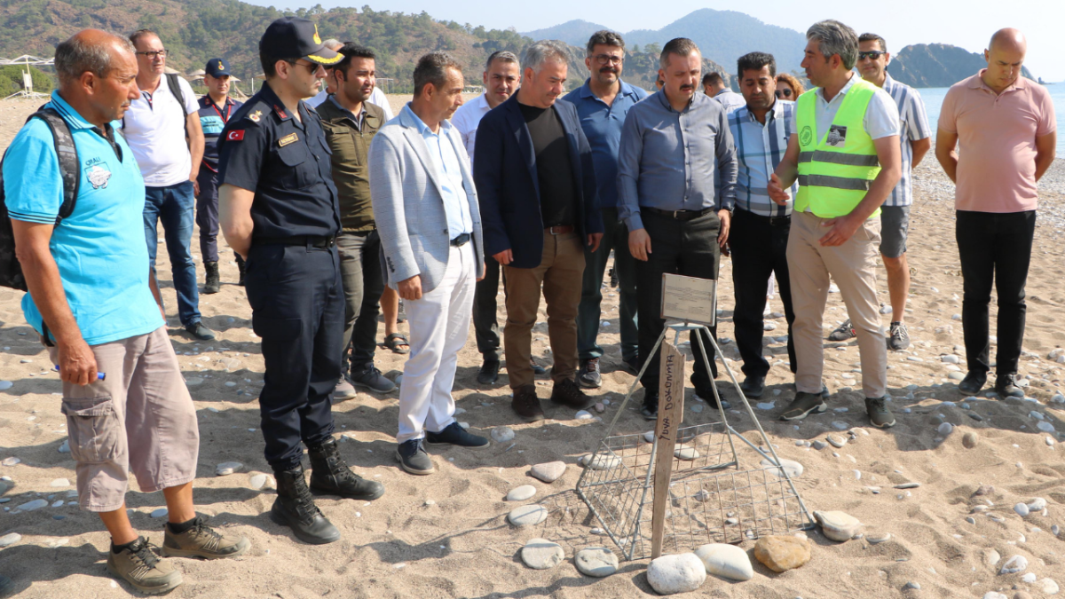 Çıralı'da ilk caretta caretta yuvası korumaya alındı