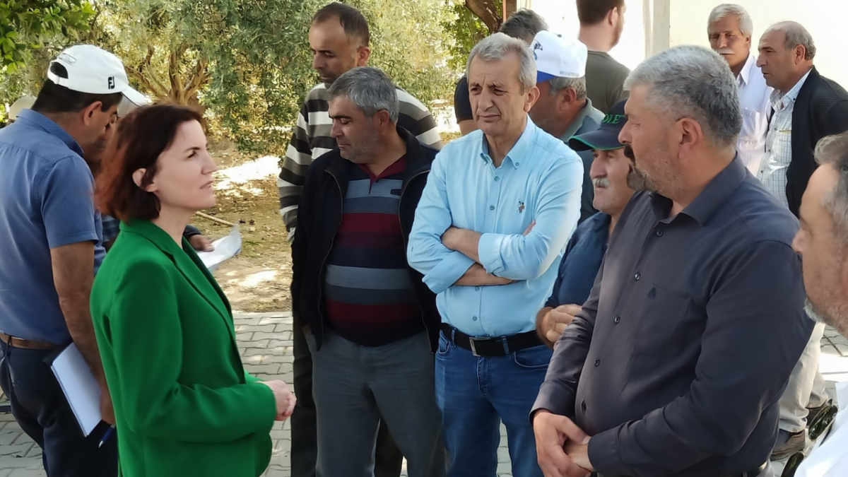 Coşar Manavgat'taki dolu felaketini Meclis'e taşıdı 